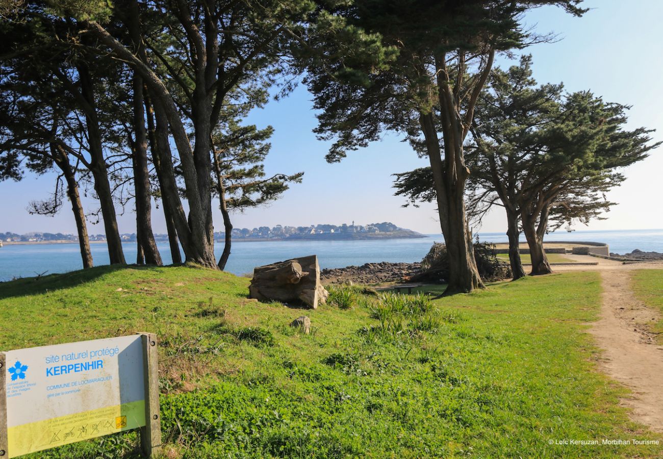 Studio à Locmariaquer - Charmant studio vue sur mer à Locmariaquer 