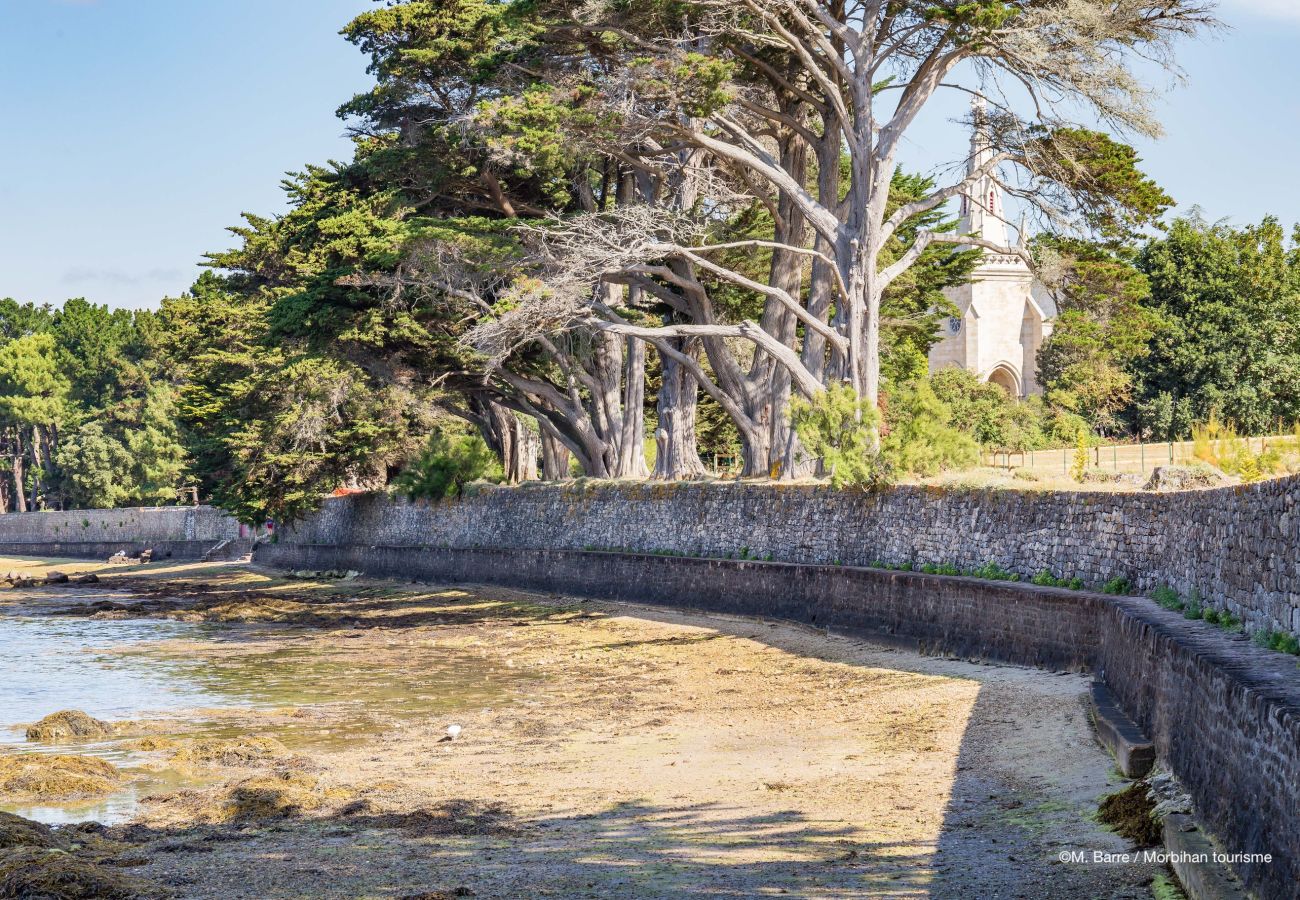 Appartement à Vannes - Appartement 3* au cœur de Vannes - 4 personnes