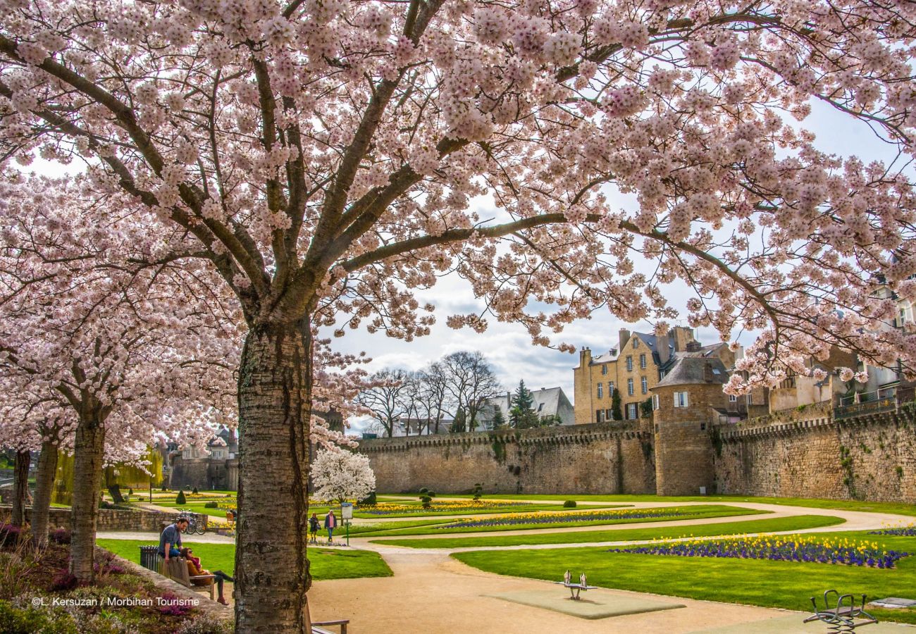 Appartement à Vannes - Appartement 3* au cœur de Vannes - 4 personnes