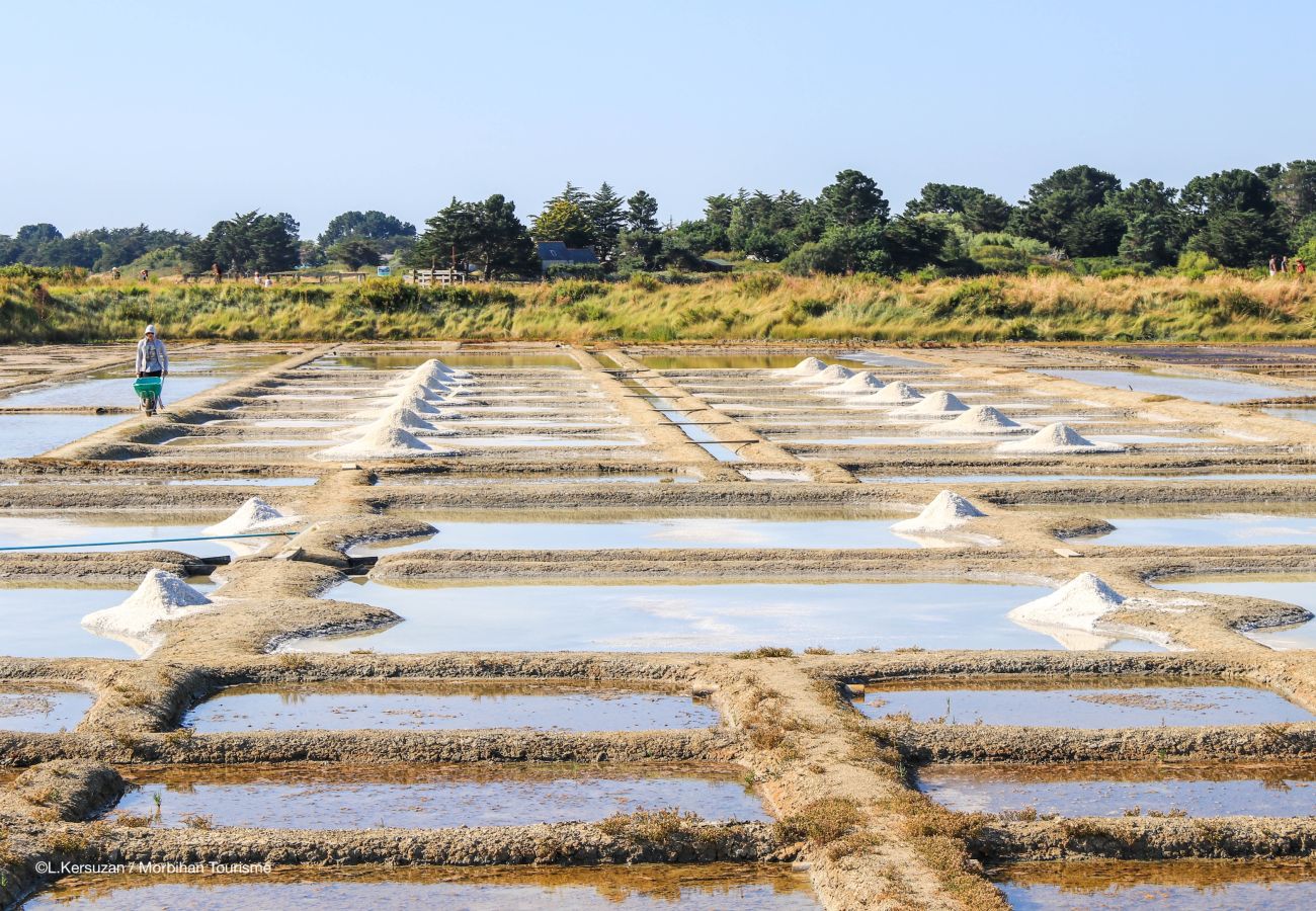 Appartement à Vannes - Appartement 3* au cœur de Vannes - 4 personnes