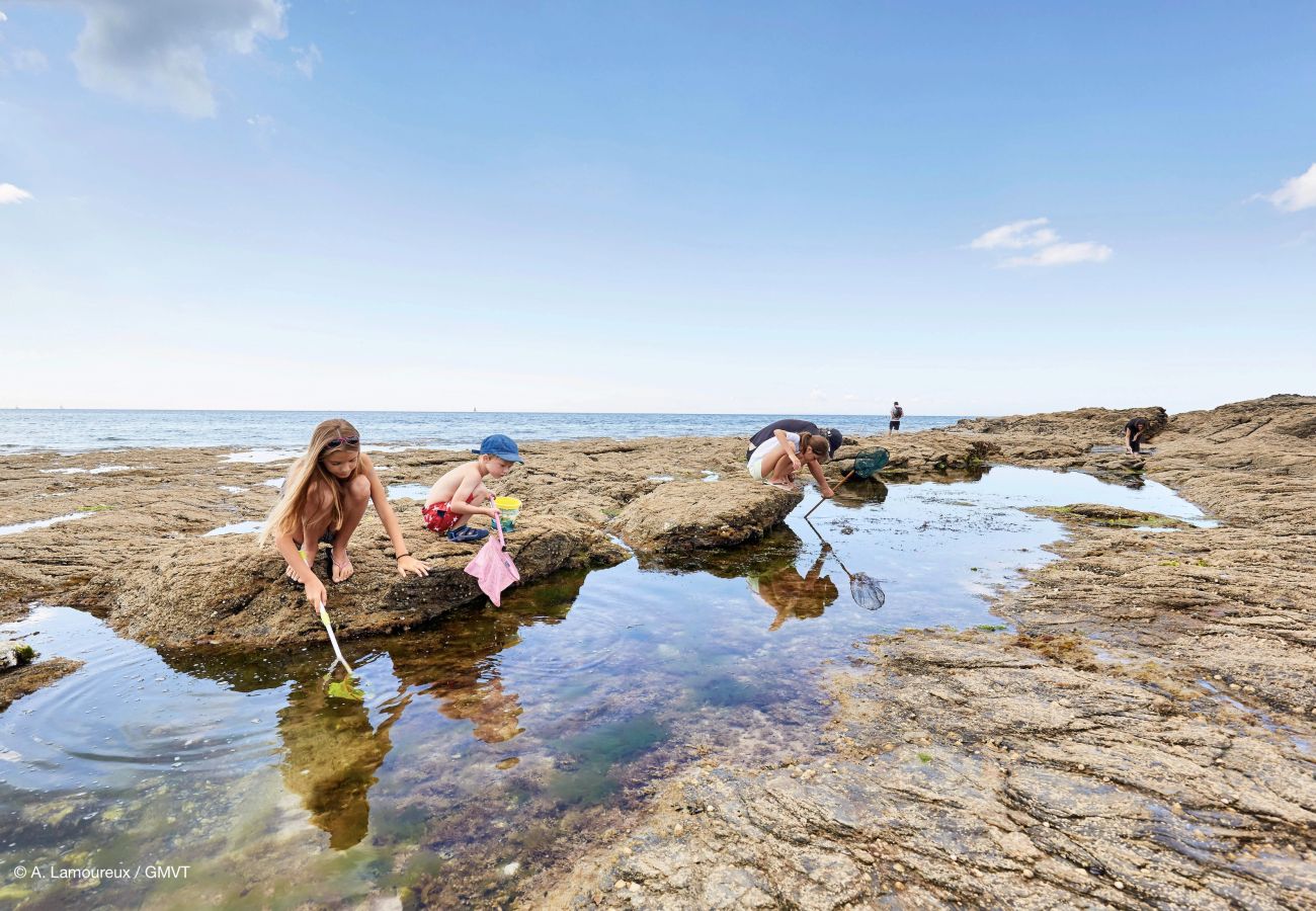 Maison à Vannes - Vannes, Maison de standing avec piscine 