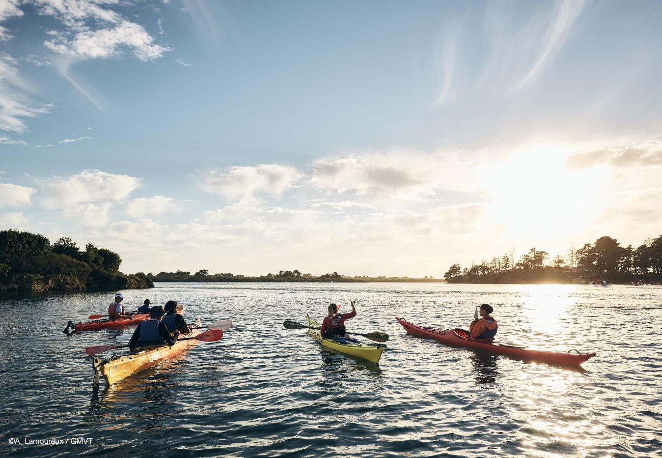 Maison à Vannes - Vannes, Maison de standing avec piscine 