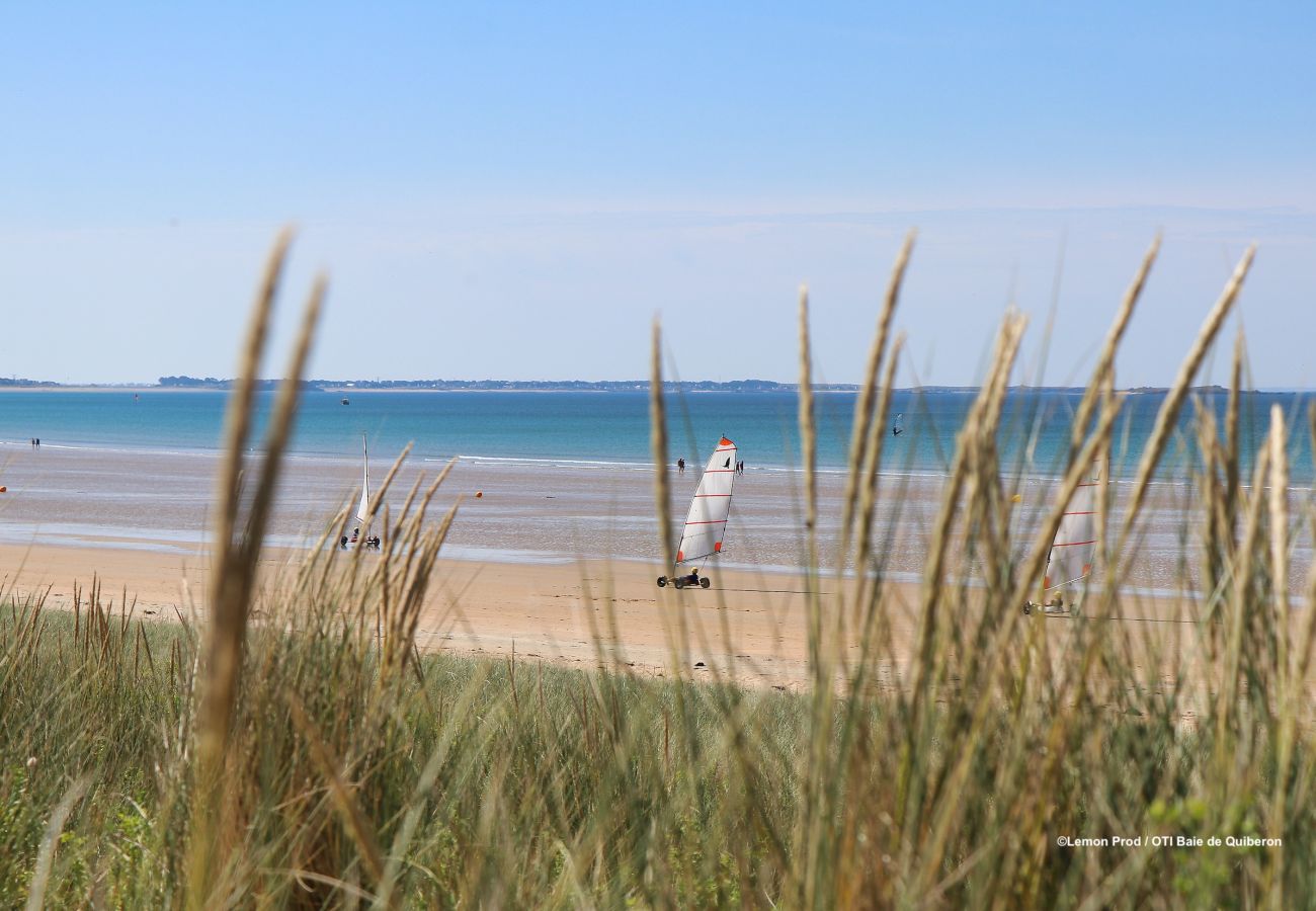 Maison à Erdeven - Les Courlis, maison de vacances près des plages