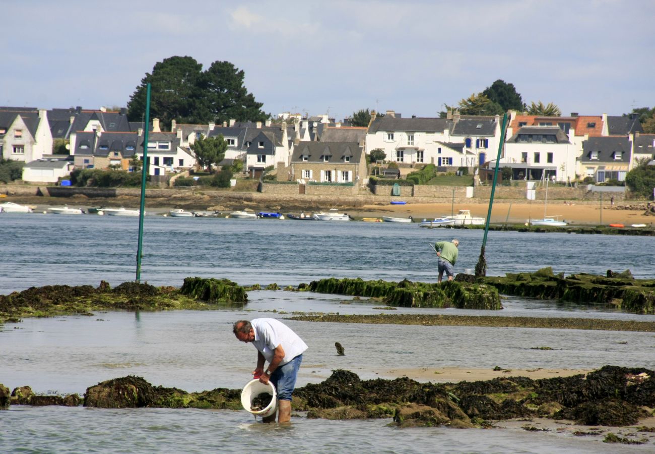 Villa à Erdeven - Kercolette, havre de paix avec piscine prox plages