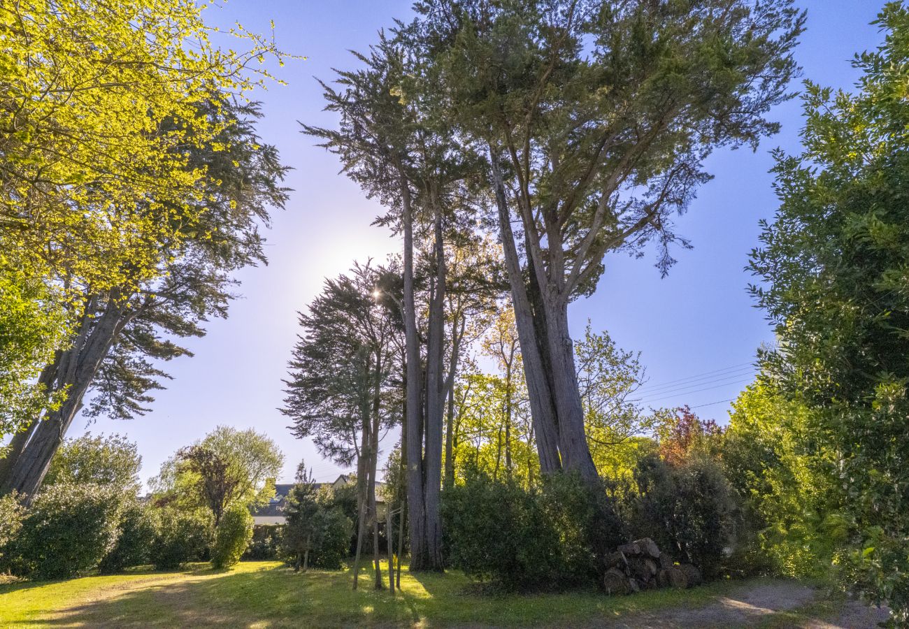 Maison à La Trinité-sur-Mer - Maison de vacances avec jardin proche de la plage du Men Du